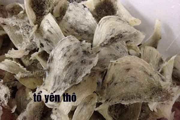yến thô có làm giả được không