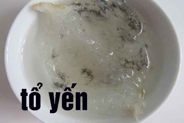 yến thô ngâm nước