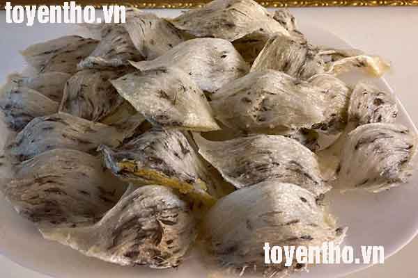 tác dụng tai yến thô