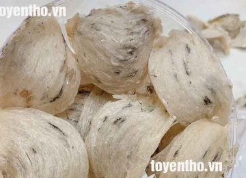 Tai yến thô là gì? Giá trị dinh dưỡng và giá bán sản phẩm