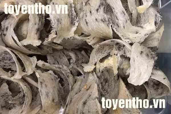 cách dùng yến sào cho người gầy