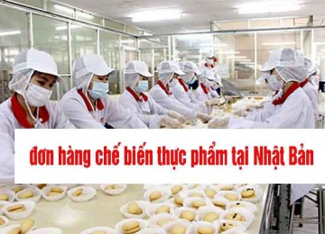 Có nên đi xuất khẩu lao động Nhật Bản làm chế biến thực phẩm?