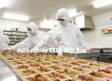 Chọn công việc đi xuất khẩu lao động Nhật dựa trên điều gì?