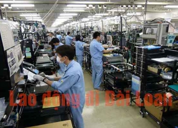 Đánh giá đơn hàng cho lao động Nam đi Đài Loan