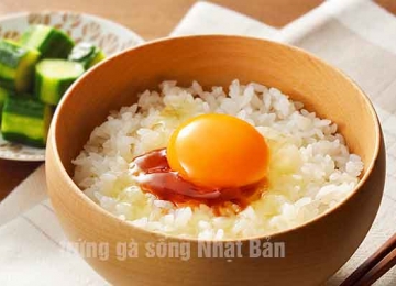 Tìm hiểu trứng gà sống Nhật Bản mua ở đâu?