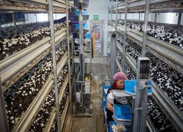 Các ngành nghề phổ biến tại Ba Lan