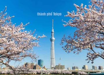 Thủ tục đăng ký kết hôn tại Tokyo Nhật Bản