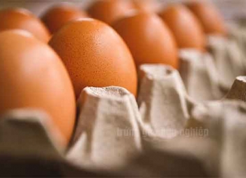 Thắc mắc: Ăn trứng gà công nghiệp có tốt không?