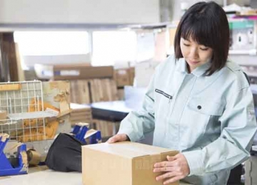 Có nên đi Nhật theo diện Kỹ sư kinh tế?