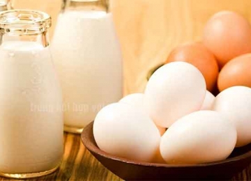 Trứng Với Sữa Tươi Có Kỵ Nhau Không? Giải Đáp Chi Tiết