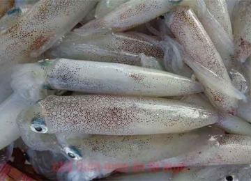 Trứng gà ăn với mực có được không?