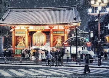 Thời tiết Tokyo có lạnh không? Thời tiết 12 tháng