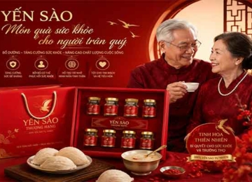 Nên mua loại yến sào nào tốt cho người già?